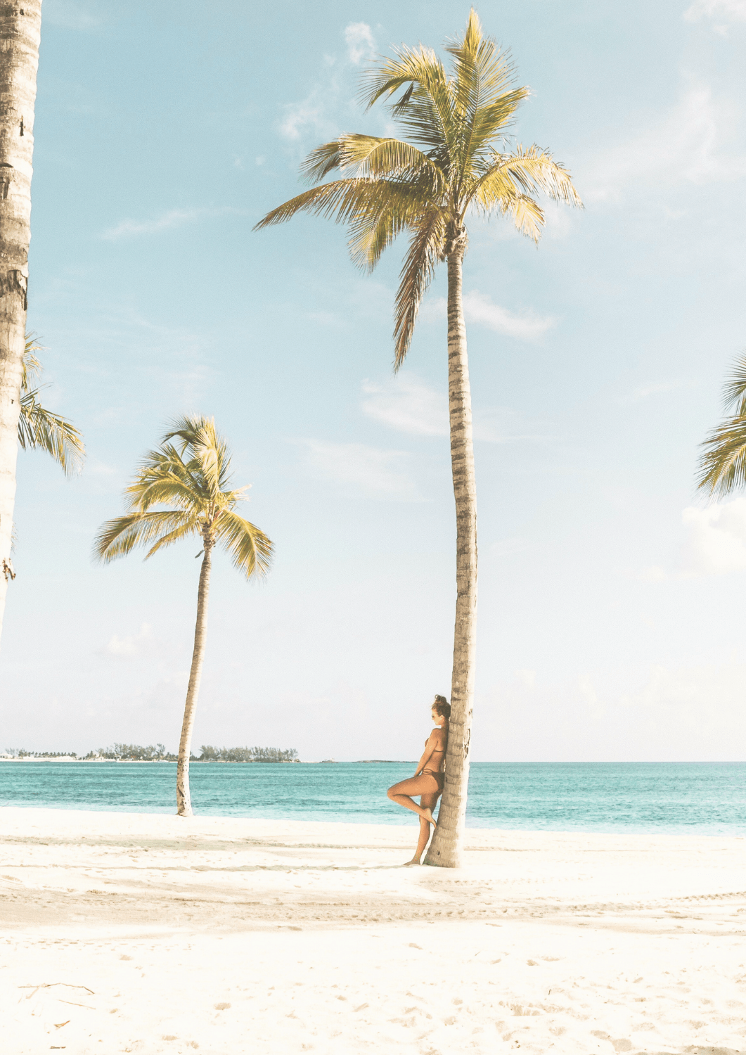 Palm trees against a bright sky on a tropical beach